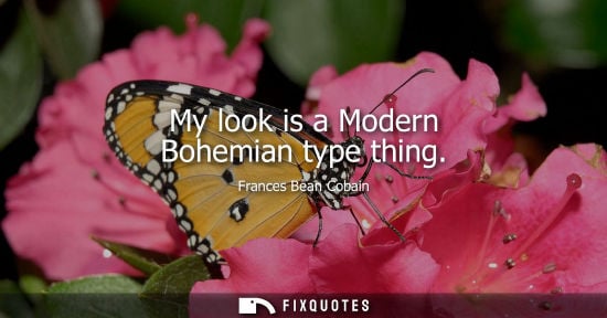 Small: My look is a Modern Bohemian type thing - Frances Bean Cobain
