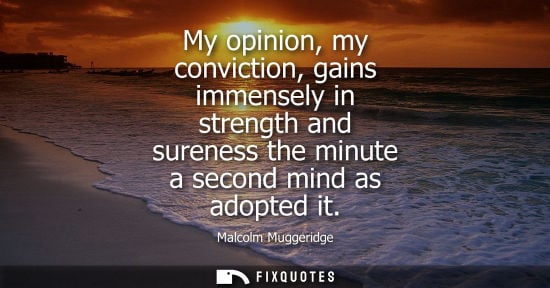 Small: My opinion, my conviction, gains immensely in strength and sureness the minute a second mind as adopted