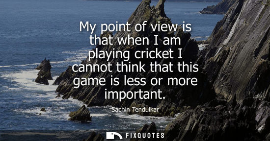 Small: My point of view is that when I am playing cricket I cannot think that this game is less or more import