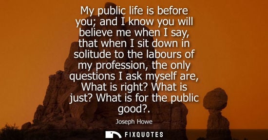 Small: My public life is before you and I know you will believe me when I say, that when I sit down in solitud