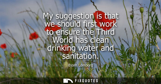 Small: My suggestion is that we should first work to ensure the Third World has clean drinking water and sanitation