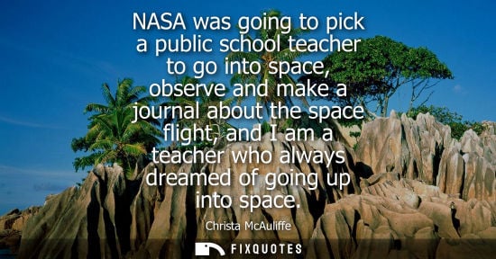 Small: NASA was going to pick a public school teacher to go into space, observe and make a journal about the s