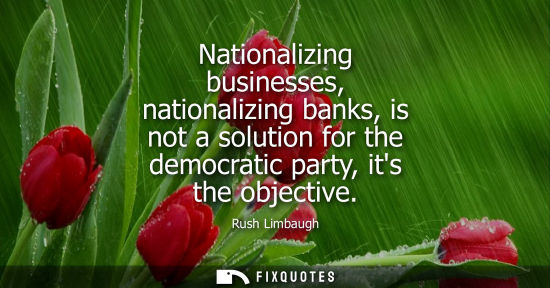 Small: Nationalizing businesses, nationalizing banks, is not a solution for the democratic party, its the objective
