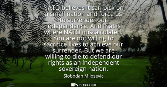 Small: NATO believes it can pick on a small nation and force us to surrender our independence. And that is where NATO