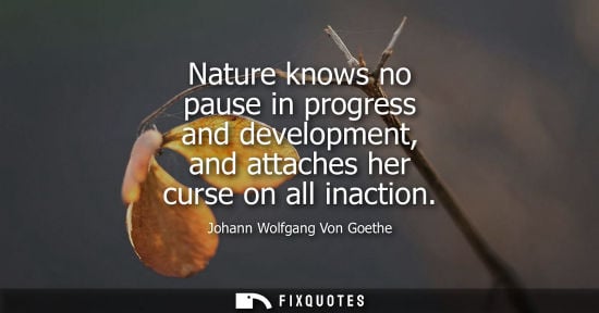 Small: Johann Wolfgang Von Goethe - Nature knows no pause in progress and development, and attaches her curse on all 