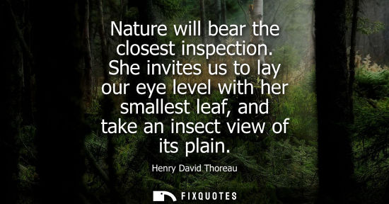 Small: Nature will bear the closest inspection. She invites us to lay our eye level with her smallest leaf, and take 