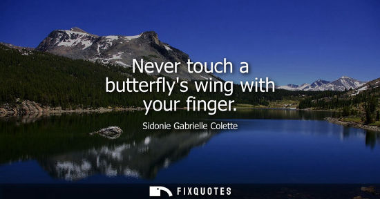 Small: Sidonie Gabrielle Colette: Never touch a butterflys wing with your finger