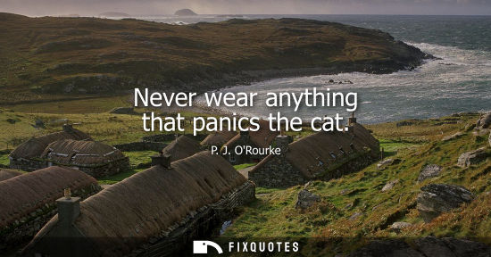 Small: Never wear anything that panics the cat - P. J. ORourke