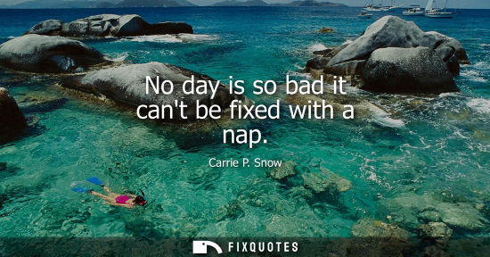 Small: No day is so bad it cant be fixed with a nap