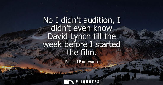 Small: No I didnt audition, I didnt even know David Lynch till the week before I started the film