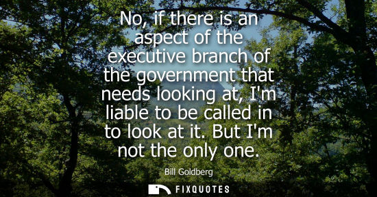 Small: No, if there is an aspect of the executive branch of the government that needs looking at, Im liable to