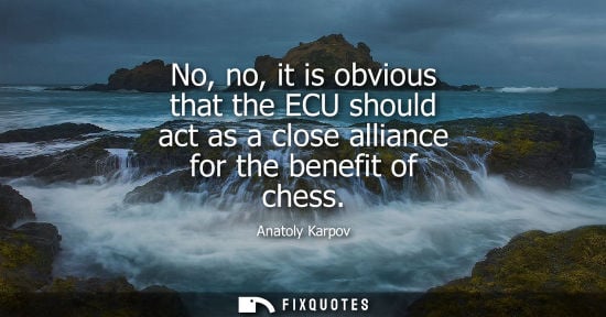 Small: No, no, it is obvious that the ECU should act as a close alliance for the benefit of chess