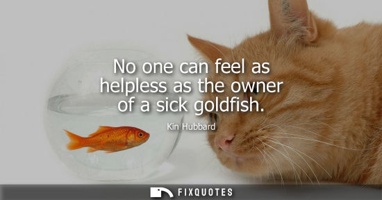 Small: No one can feel as helpless as the owner of a sick goldfish