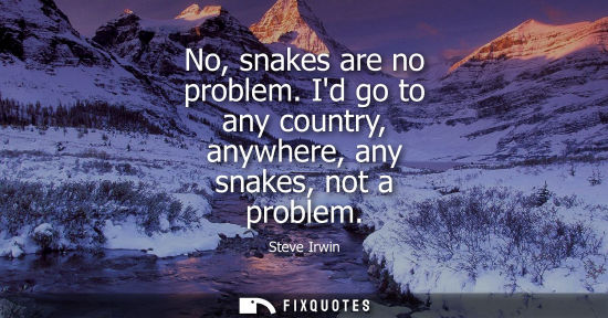 Small: Steve Irwin: No, snakes are no problem. Id go to any country, anywhere, any snakes, not a problem