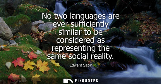 Small: No two languages are ever sufficiently similar to be considered as representing the same social reality