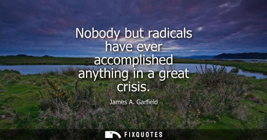 Small: Nobody but radicals have ever accomplished anything in a great crisis