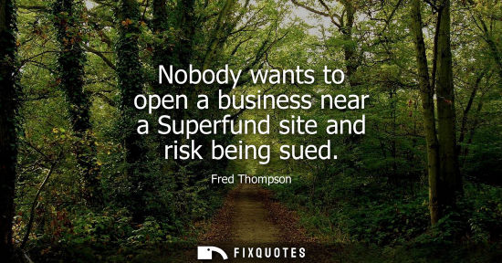 Small: Nobody wants to open a business near a Superfund site and risk being sued