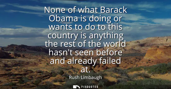 Small: None of what Barack Obama is doing or wants to do to this country is anything the rest of the world hasnt seen