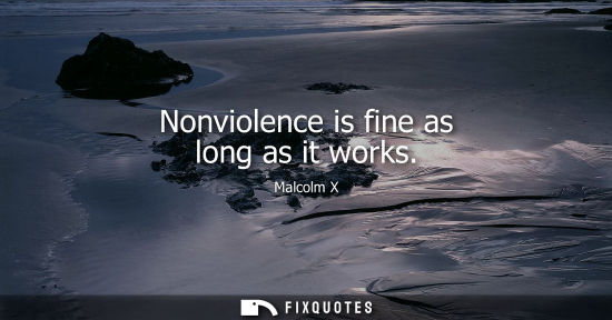 Small: Nonviolence is fine as long as it works