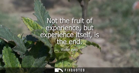 Small: Not the fruit of experience, but experience itself, is the end