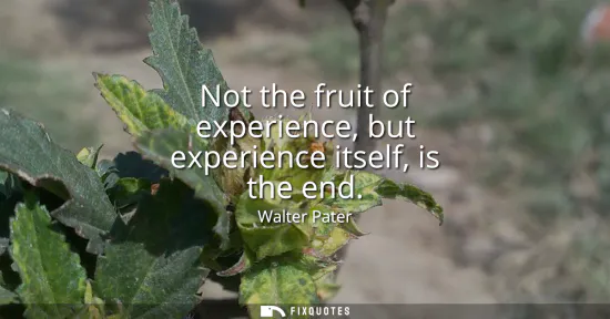 Small: Not the fruit of experience, but experience itself, is the end