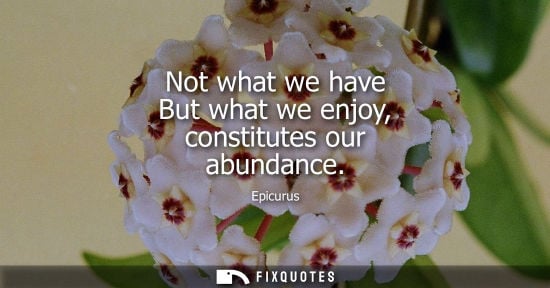 Small: Not what we have But what we enjoy, constitutes our abundance - Epicurus