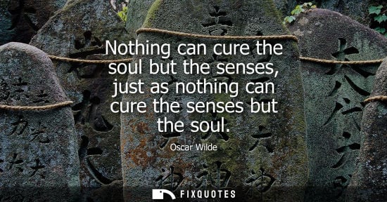 Small: Nothing can cure the soul but the senses, just as nothing can cure the senses but the soul - Oscar Wilde
