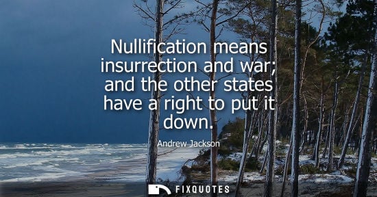Small: Nullification means insurrection and war and the other states have a right to put it down