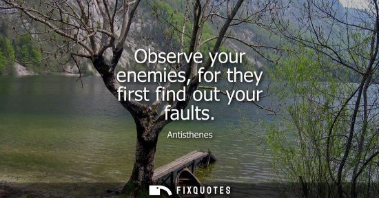 Small: Observe your enemies, for they first find out your faults