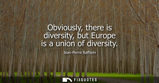 Small: Obviously, there is diversity, but Europe is a union of diversity