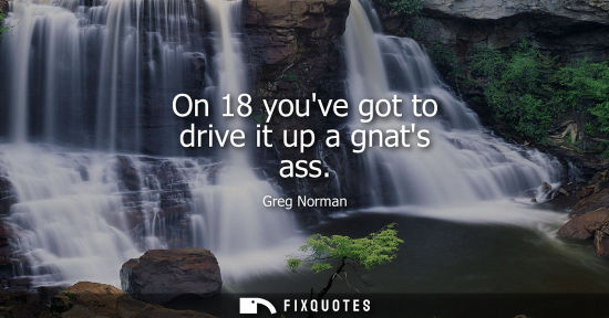 Small: Greg Norman: On 18 youve got to drive it up a gnats ass
