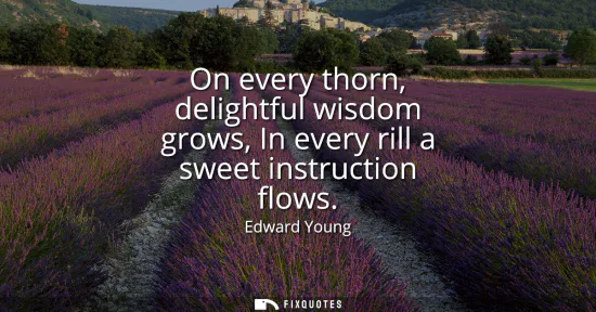 Small: On every thorn, delightful wisdom grows, In every rill a sweet instruction flows