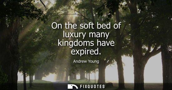 Small: Andrew Young: On the soft bed of luxury many kingdoms have expired