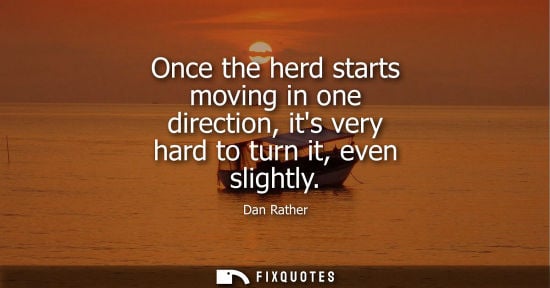 Small: Once the herd starts moving in one direction, its very hard to turn it, even slightly