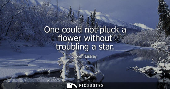 Small: One could not pluck a flower without troubling a star