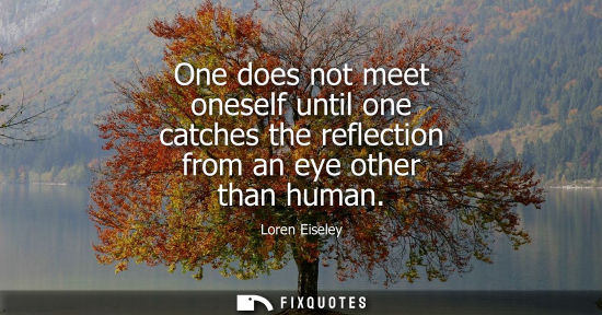 Small: One does not meet oneself until one catches the reflection from an eye other than human