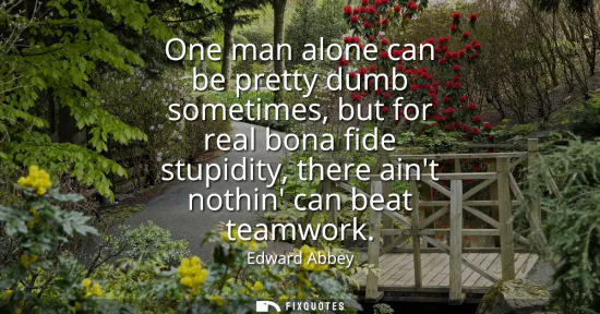 Small: One man alone can be pretty dumb sometimes, but for real bona fide stupidity, there aint nothin can beat teamw