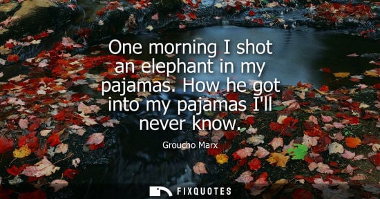 Small: One morning I shot an elephant in my pajamas. How he got into my pajamas Ill never know