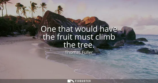 Small: One that would have the fruit must climb the tree