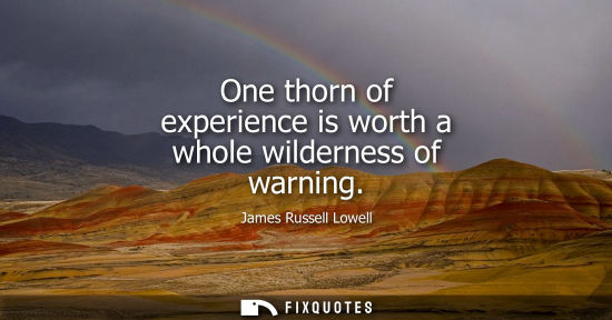 Small: One thorn of experience is worth a whole wilderness of warning