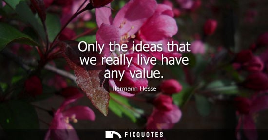 Small: Only the ideas that we really live have any value
