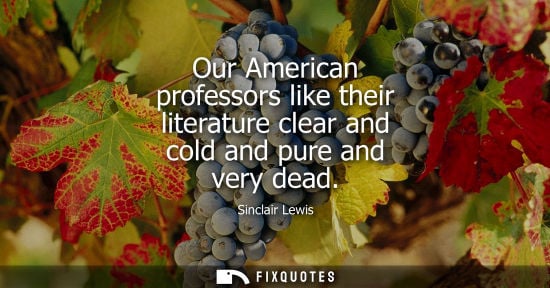 Small: Our American professors like their literature clear and cold and pure and very dead