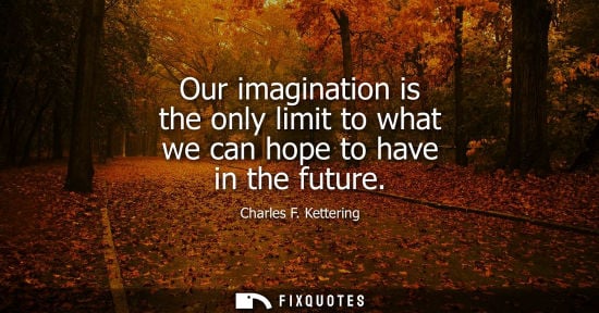 Small: Our imagination is the only limit to what we can hope to have in the future - Charles F. Kettering