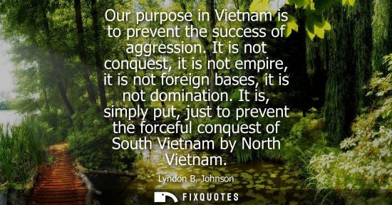 Small: Our purpose in Vietnam is to prevent the success of aggression. It is not conquest, it is not empire, i