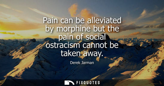 Small: Pain can be alleviated by morphine but the pain of social ostracism cannot be taken away