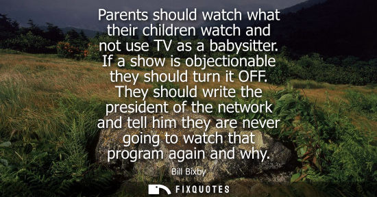 Small: Parents should watch what their children watch and not use TV as a babysitter. If a show is objectionab