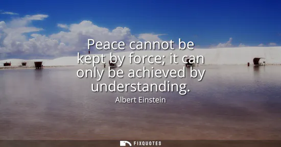 Small: Peace cannot be kept by force it can only be achieved by understanding