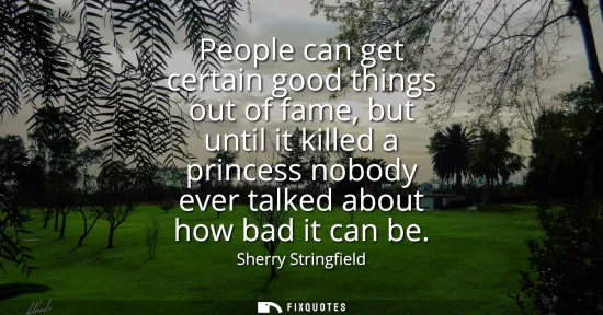 Small: People can get certain good things out of fame, but until it killed a princess nobody ever talked about how ba