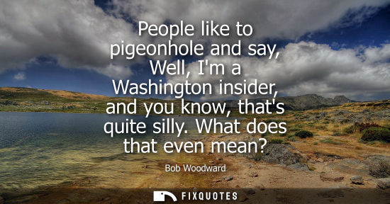 Small: People like to pigeonhole and say, Well, Im a Washington insider, and you know, thats quite silly. What