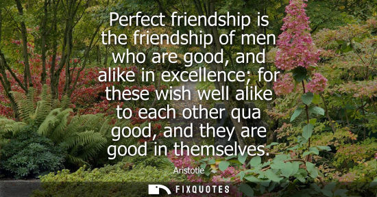 Small: Perfect friendship is the friendship of men who are good, and alike in excellence for these wish well alike to
